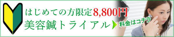はじめての美容鍼トライアル