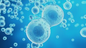 オートファジー